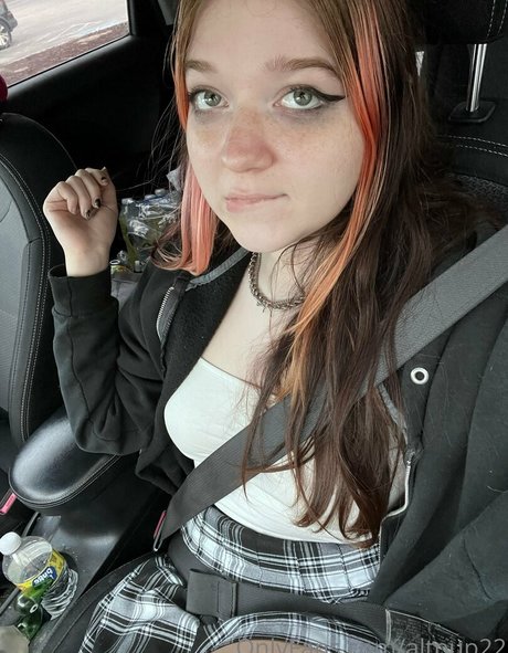 Altpup22
