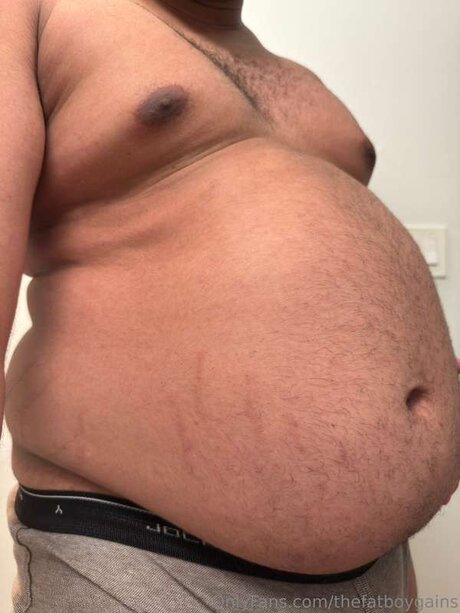 Thefatboygains