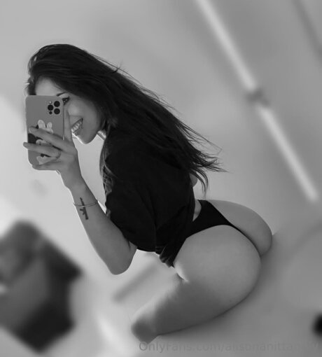Foto di nudo di fuga di OnlyFans di Alisonanittaonly