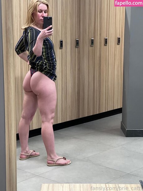 Briecattii