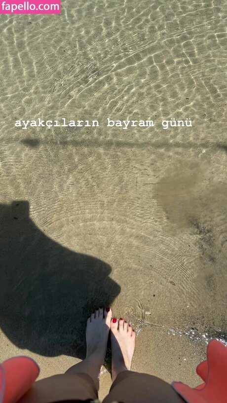 Deniz Bada