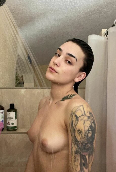 Foto di nudo di fuga di OnlyFans di Harper Hunt