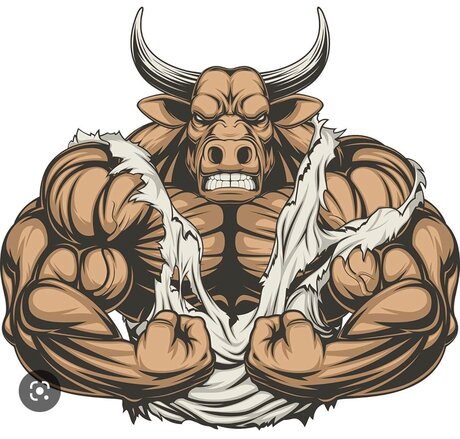 Beefybaltbear