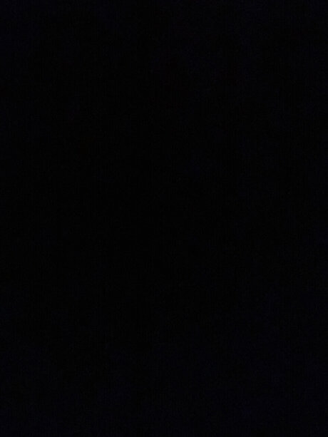 Foto di nudo di fuga di OnlyFans di Bailie Dianna