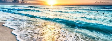 Nparadise