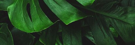 Foto di nudo di fuga di OnlyFans di Mr J