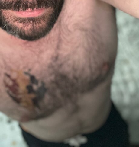 Gibbobear