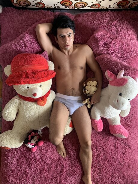 Foto di nudo di fuga di OnlyFans di Missteruniverse