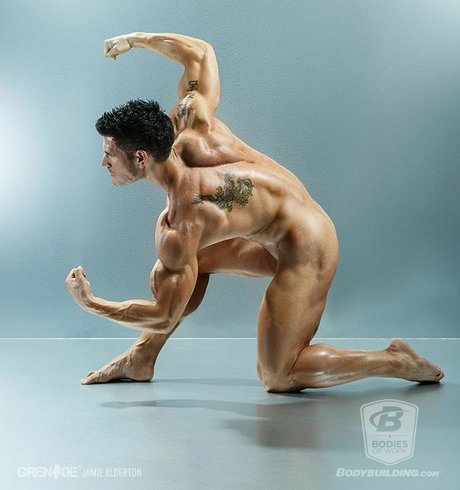 Bodybuilding.com's BodiesWork