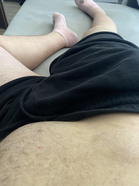 Hellobear