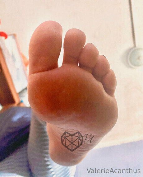 Foto di nudo di fuga di OnlyFans di Valacanthus