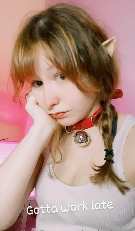 Realneko_tv