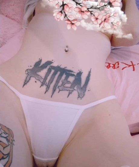 Foto di nudo di fuga di OnlyFans di Kitten