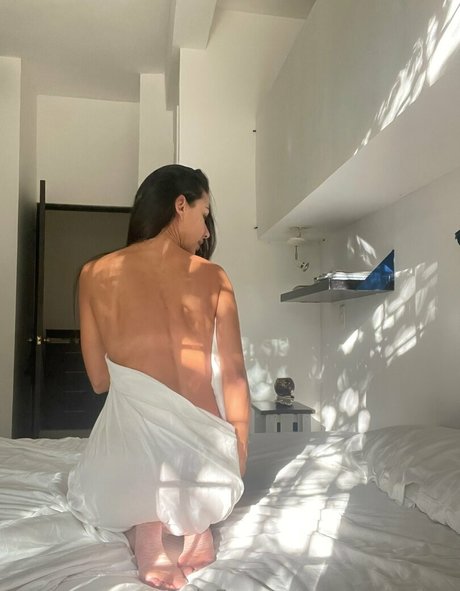 Ladydiorfree