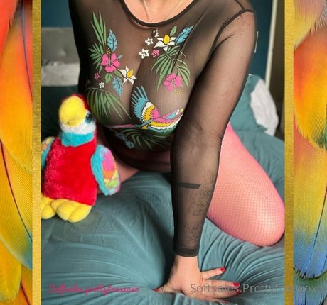 Foto di nudo di fuga di OnlyFans di Softsolesprettytoesxoxo