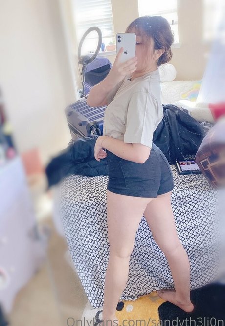 Sandyth3li0n