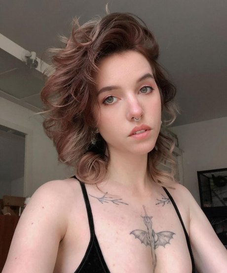 Foto di nudo di fuga di OnlyFans di Xailurus