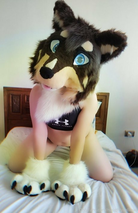 Foto di nudo di fuga di OnlyFans di Naughtycolliead
