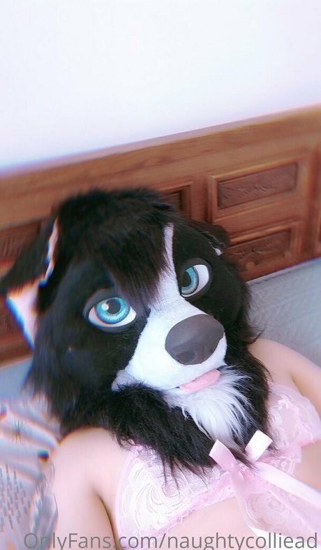 Naughtycolliead