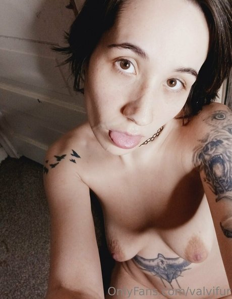 Foto di nudo di fuga di OnlyFans di Valvifur