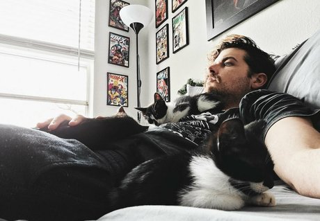 Fosterkittendad