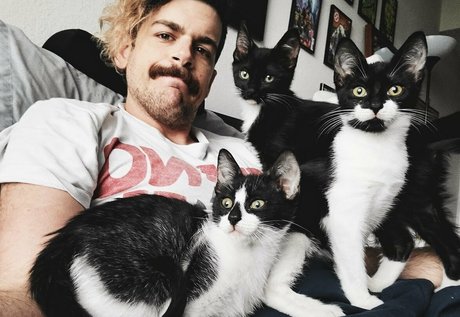 Fosterkittendad