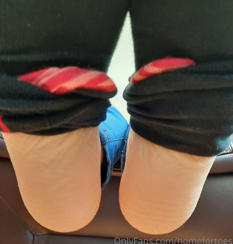 Homefortoes