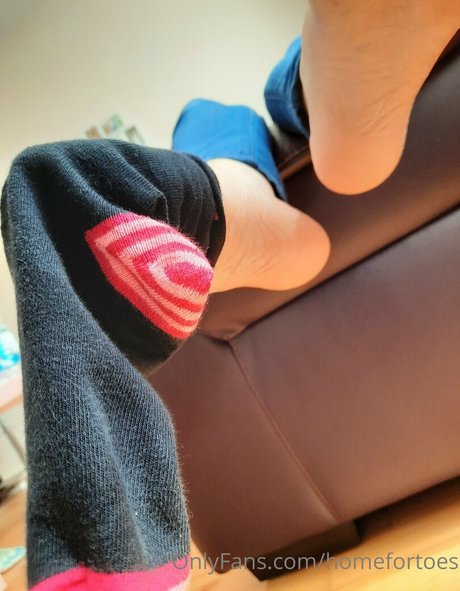 Homefortoes