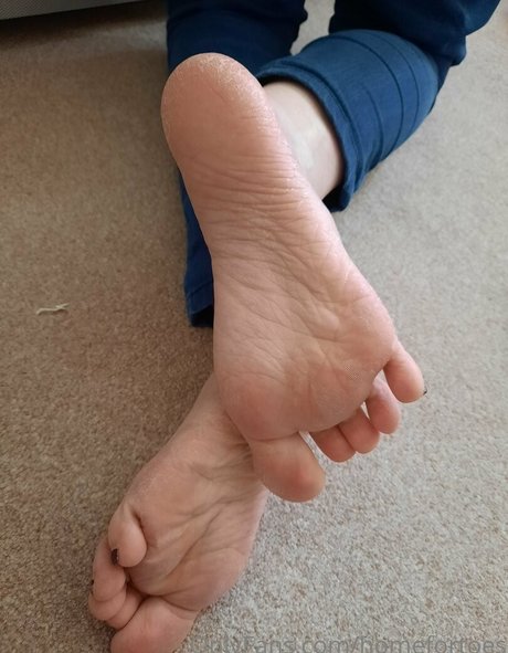 Homefortoes