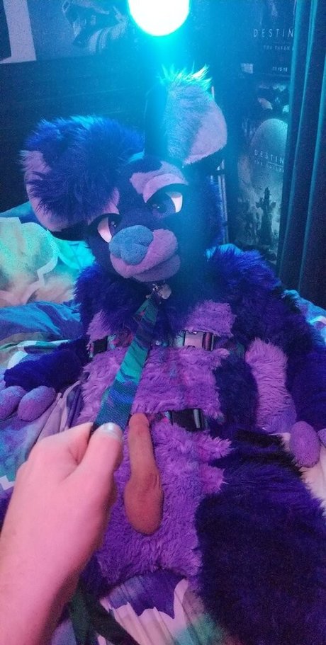 Foto di nudo di fuga di OnlyFans di Ryffhyena