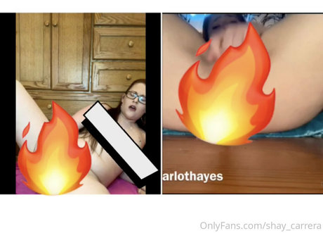 Shaycarrera