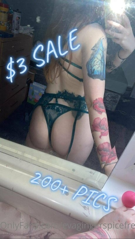 Foto di nudo di fuga di OnlyFans di Evagingerspicefree