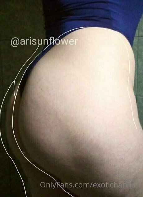 Foto di nudo di fuga di OnlyFans di Exotichannah