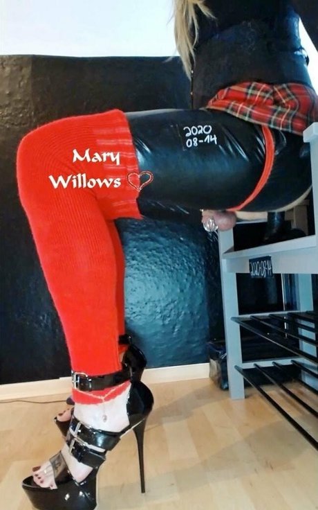 Marywillows