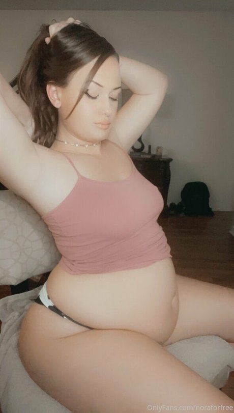 Foto di nudo di fuga di OnlyFans di Noraforfree