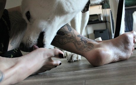 Sunnifootplay