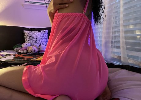 Kittysprive