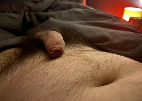 Abeardedboy