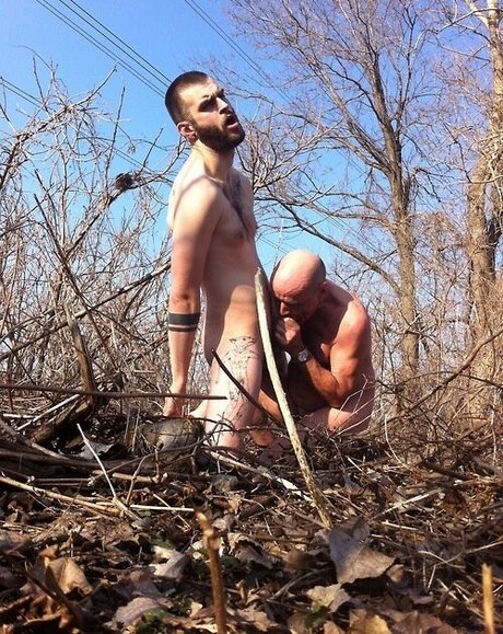 Abeardedboy