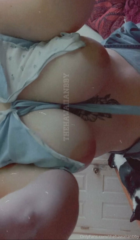 Foto di nudo di fuga di OnlyFans di Thehawaiianbby