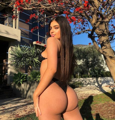 Foto di nudo di fuga di OnlyFans di Krissybertone