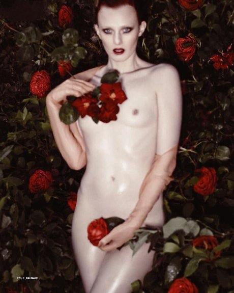 Foto di nudo di fuga di OnlyFans di Karen Elson