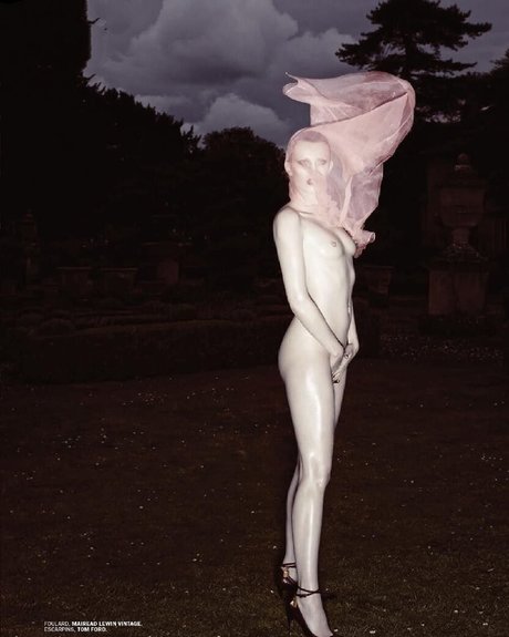 Foto di nudo di fuga di OnlyFans di Karen Elson