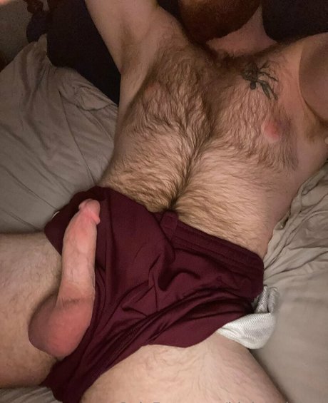 Foto di nudo di fuga di OnlyFans di Bigbearbiboy