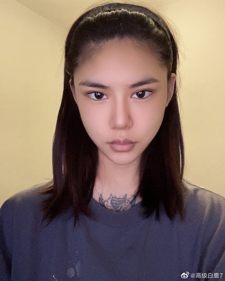 Deer_white