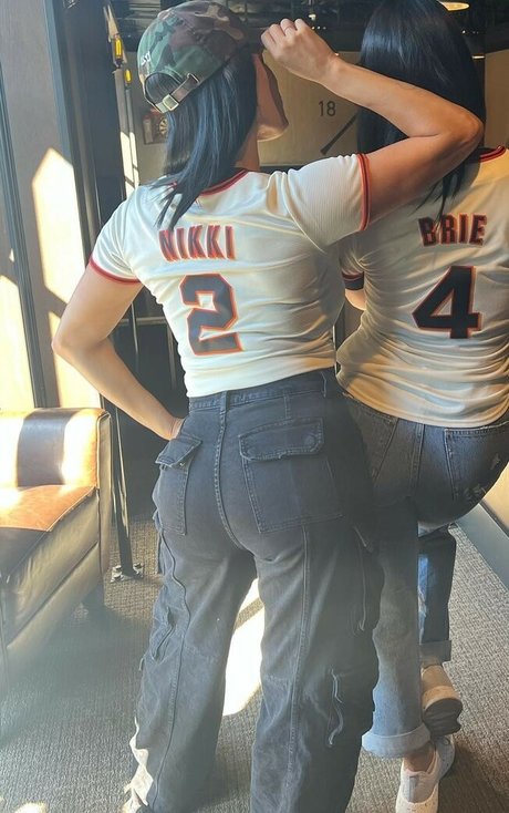 The Bella Twins: