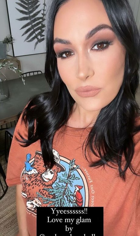 The Bella Twins:
