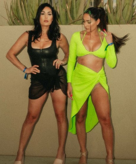 The Bella Twins: