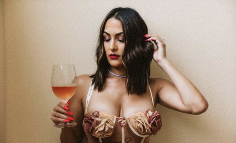 The Bella Twins