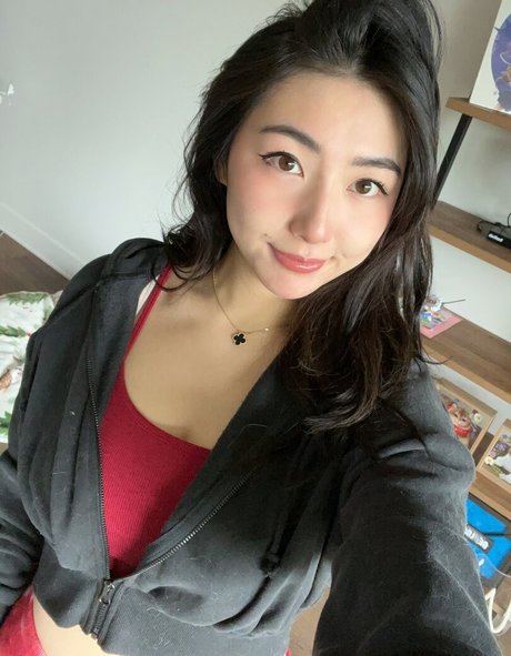 Xchocobars